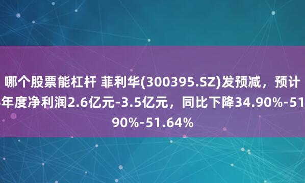 哪个股票能杠杆 菲利华(300395.SZ)发预减，预计2024年度净利润2.6亿元-3.5亿元，同比下降34.90%-51.64%