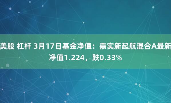 美股 杠杆 3月17日基金净值：嘉实新起航混合A最新净值1.224，跌0.33%