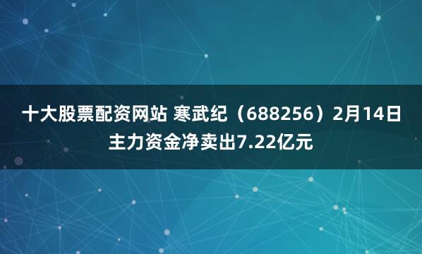 十大股票配资网站 寒武纪（688256）2月14日主力资金净卖出7.22亿元