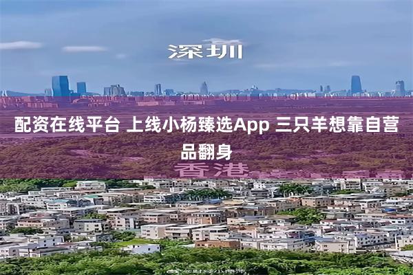 配资在线平台 上线小杨臻选App 三只羊想靠自营品翻身