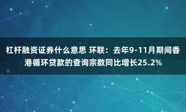 杠杆融资证券什么意思 环联：去年9-11月期间香港循环贷款的查询宗数同比增长25.2%