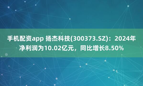手机配资app 扬杰科技(300373.SZ)：2024年净利润为10.02亿元，同比增长8.50%