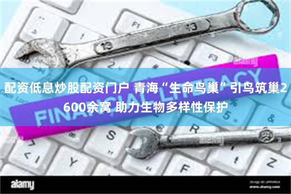 配资低息炒股配资门户 青海“生命鸟巢”引鸟筑巢2600余窝 助力生物多样性保护