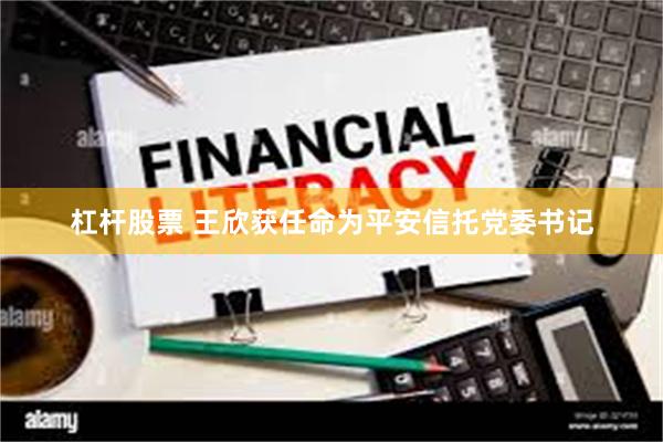 杠杆股票 王欣获任命为平安信托党委书记