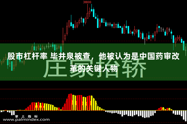 股市杠杆率 毕井泉被查，他被认为是中国药审改革的关键人物