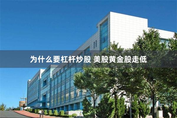 为什么要杠杆炒股 美股黄金股走低