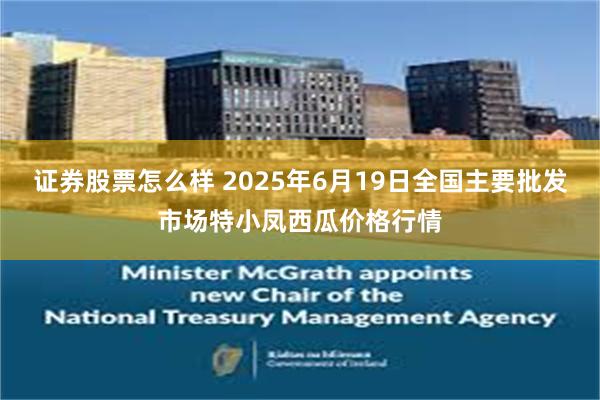 证券股票怎么样 2025年6月19日全国主要批发市场特小凤西瓜价格行情