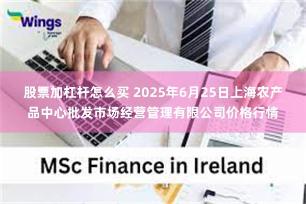 股票加杠杆怎么买 2025年6月25日上海农产品中心批发市场经营管理有限公司价格行情