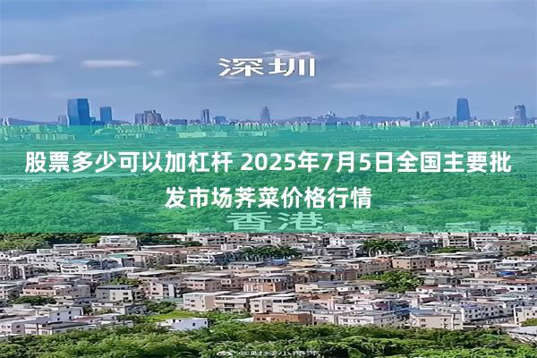 股票多少可以加杠杆 2025年7月5日全国主要批发市场荠菜价格行情