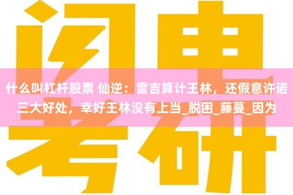 什么叫杠杆股票 仙逆：雷吉算计王林，还假意许诺三大好处，幸好王林没有上当_脱困_藤蔓_因为
