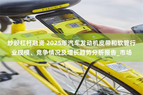 炒股杠杆融资 2025年汽车发动机皮带和软管行业规模、竞争情况及增长趋势分析报告_市场