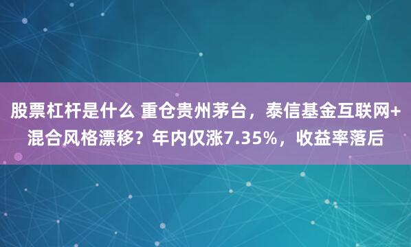 股票杠杆是什么 重仓贵州茅台，泰信基金互联网+混合风格漂移？年内仅涨7.35%，收益率落后