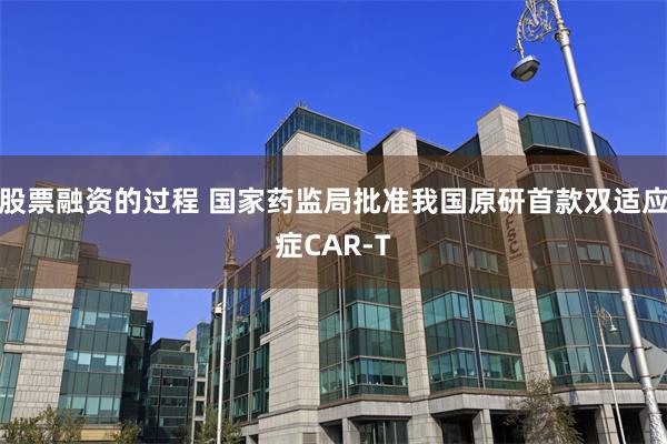 股票融资的过程 国家药监局批准我国原研首款双适应症CAR-T