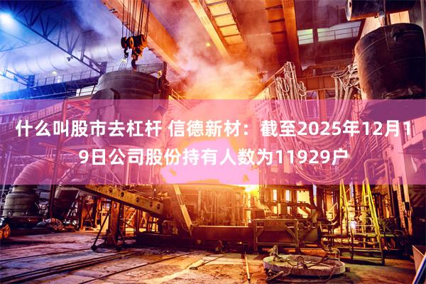 什么叫股市去杠杆 信德新材：截至2025年12月19日公司股份持有人数为11929户